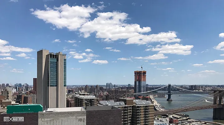 Rented by Citi Habitats | media 28