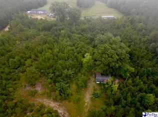 96 Pine Tree Ln, Chesterfield, SC 29709