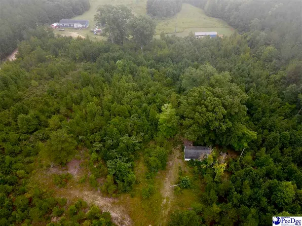 96 Pine Tree Ln, Chesterfield, SC 29709