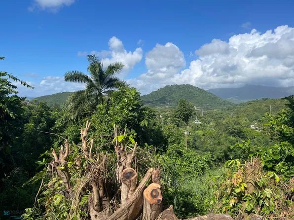 165 Calle 8, Naguabo, PR 00718