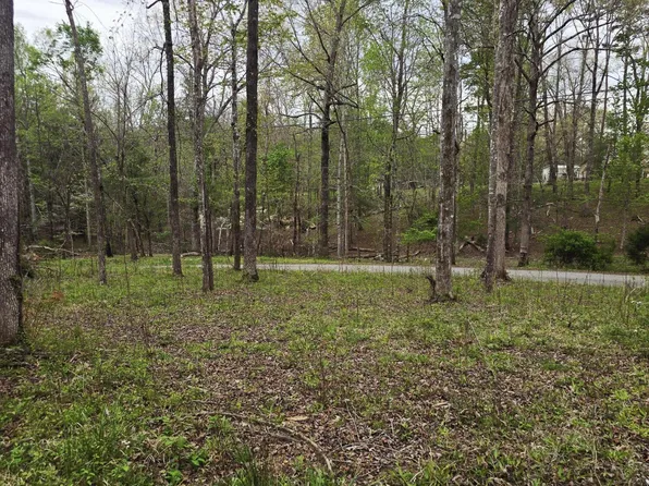 0 Scott Fentress Co Line, Allardt, TN 38504