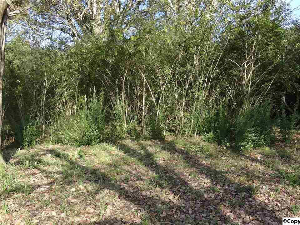 2nd image of 1263 Browns Ferry Rd