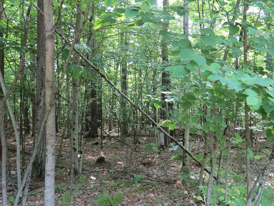2nd image of 119 Tannenbaum Ln