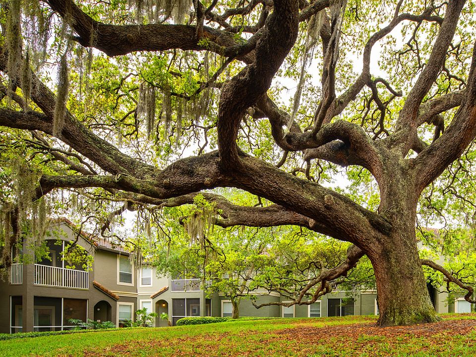 MAA Palm Harbor Apartment Rentals Palm Harbor, FL Zillow