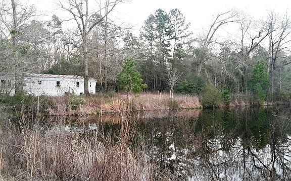 3rd image of 330 Whitworth Ln