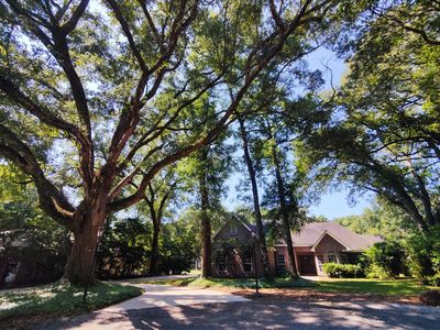 117 Ferncliff Cir, Daphne, AL, 36526