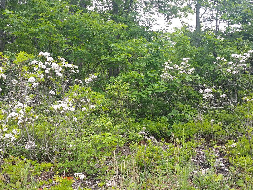 2nd image of 398 Old Oregon Rd