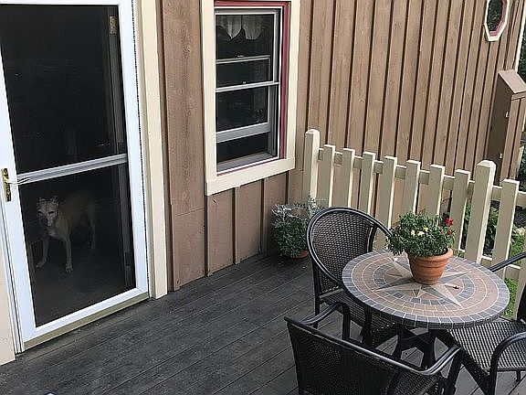 Deck new paint/stain