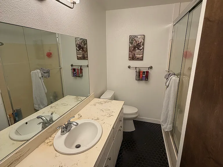 7329 Villa Del Sol Ln — Photo 4