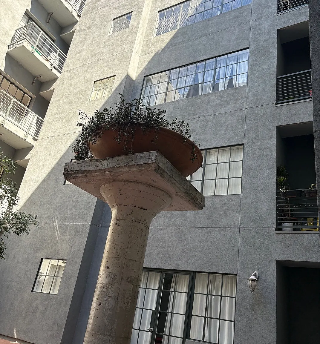 Studio, 1.0 bath, 680 sqft, $2,395 — Photo 4