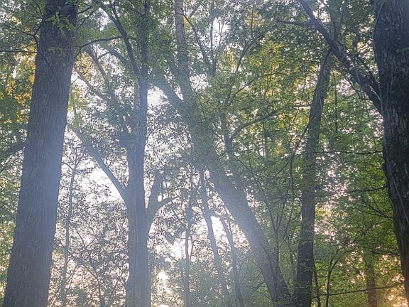 2nd image of 1 Fm 2517