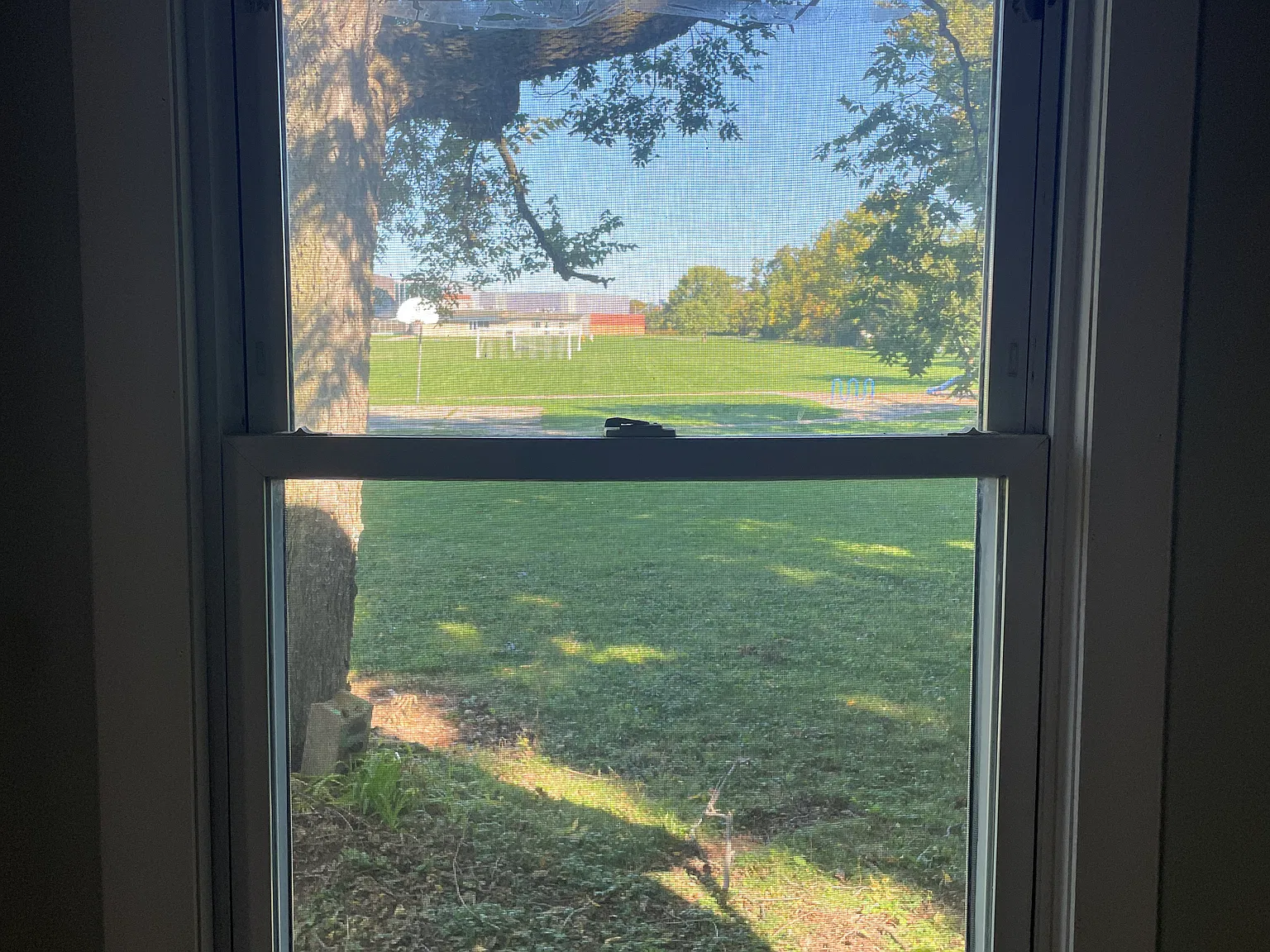 1 bed, 850 sqft, $1,100 — Photo 4