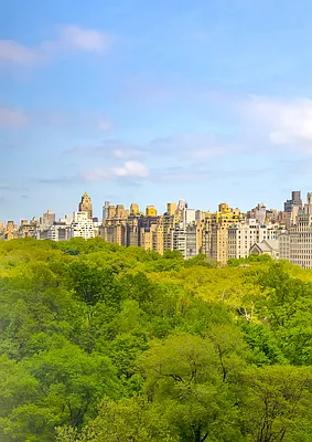 Sold by Martini Real Estate | media 13
