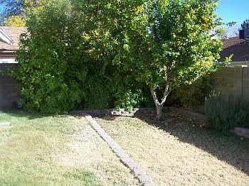 2nd image of 6209 E Carolina Dr