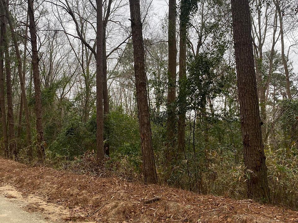 2nd image of 1.16 McDaniel Dr