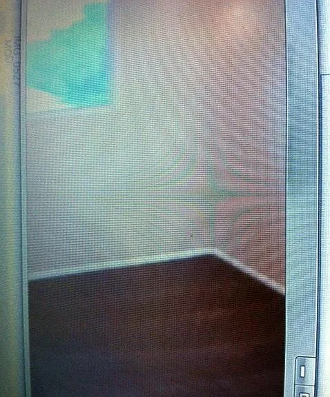 carpet in bedrooms