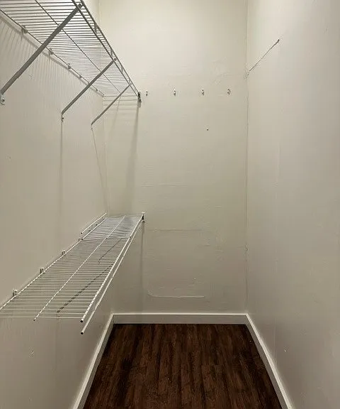 1010 Angel St #B — Photo 8