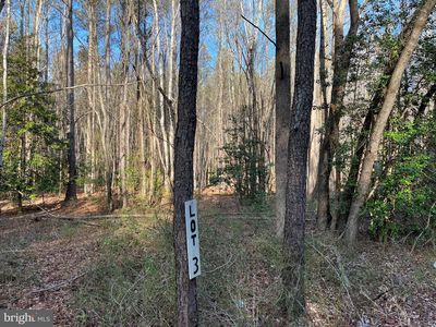 Shiloh Church Rd Lot 3, Laurel, DE, 19956