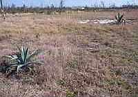 1st image of 43620 Bear Lake Blvd