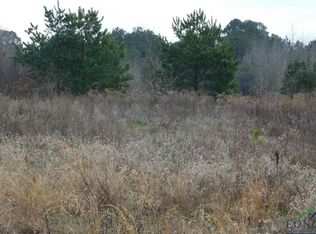 3170 Fm 593, Gilmer, TX 75644