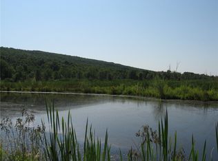 0 Conesus Springwater Rd, Conesus, NY 14435