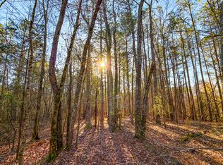 TRACT 2 New Harmony Dr, Lineville, AL 36266