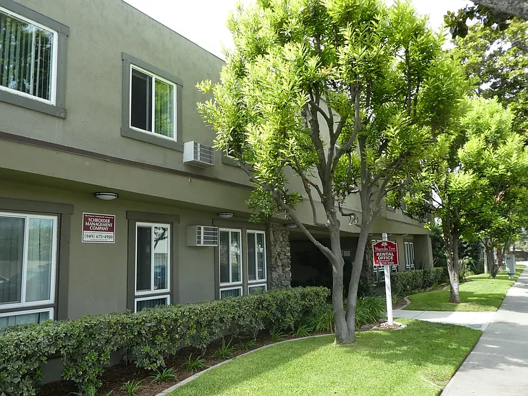 Magnolia Tree Apartments — Photo 10