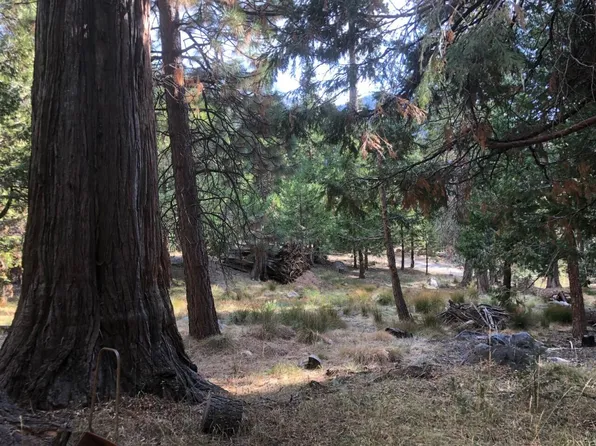 Mineral King Road, Silver City, CA 93271