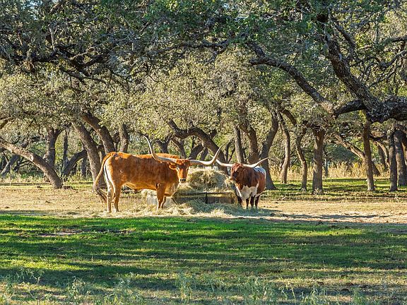 3rd image of 24105 Fm 1431 Rd