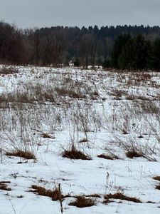 647 210th Ave, Somerset, WI, 54025