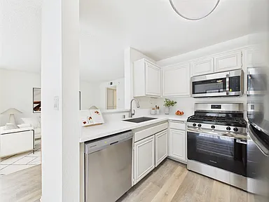 Junior 1BR, 1BA A 650 SF