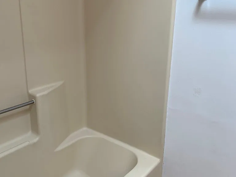 Bathroom 1 shower