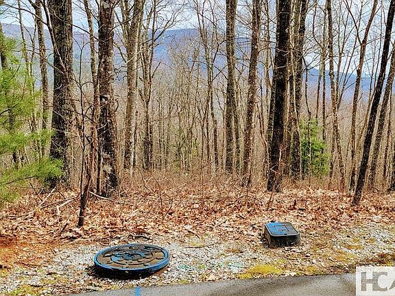 2nd image of Lot 29 Flyaway Circle