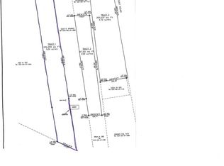 3527 Savannah Grove Rd, Effingham, SC 29541