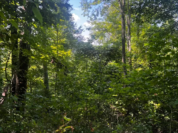 00 Kenneths Cove, Topton, NC 28781