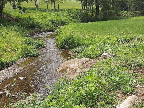 Trout Stream/Ducks/Turtles