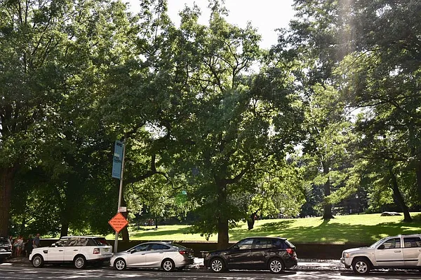 Rented by Skyward | media 31