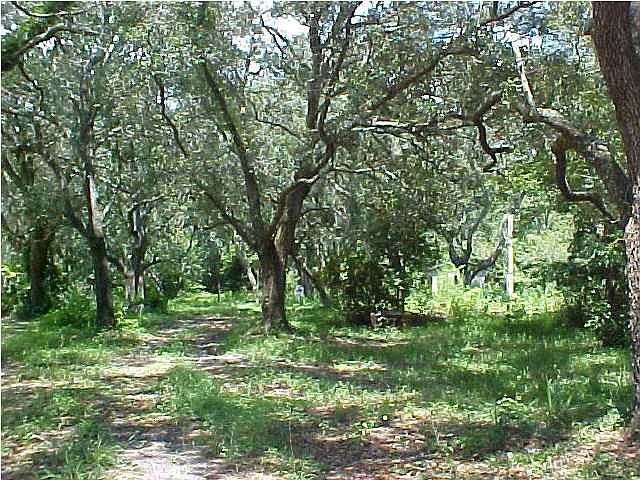 2nd image of 563 Brownsville Rd