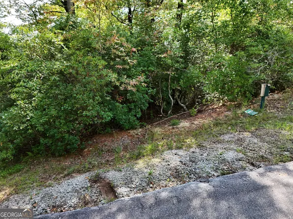 119 E Brown Hawk Dr, Clayton, GA 30525