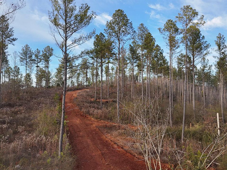 1st image of 5 County Road 175