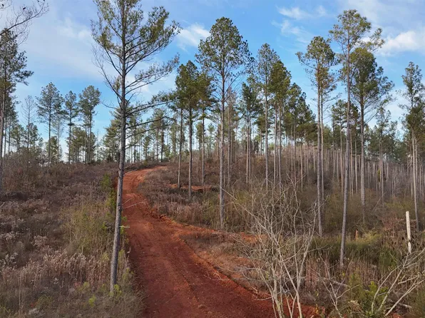 5 County Road 175, Piedmont, AL 36272