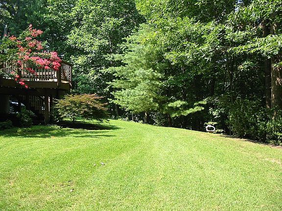 back yard