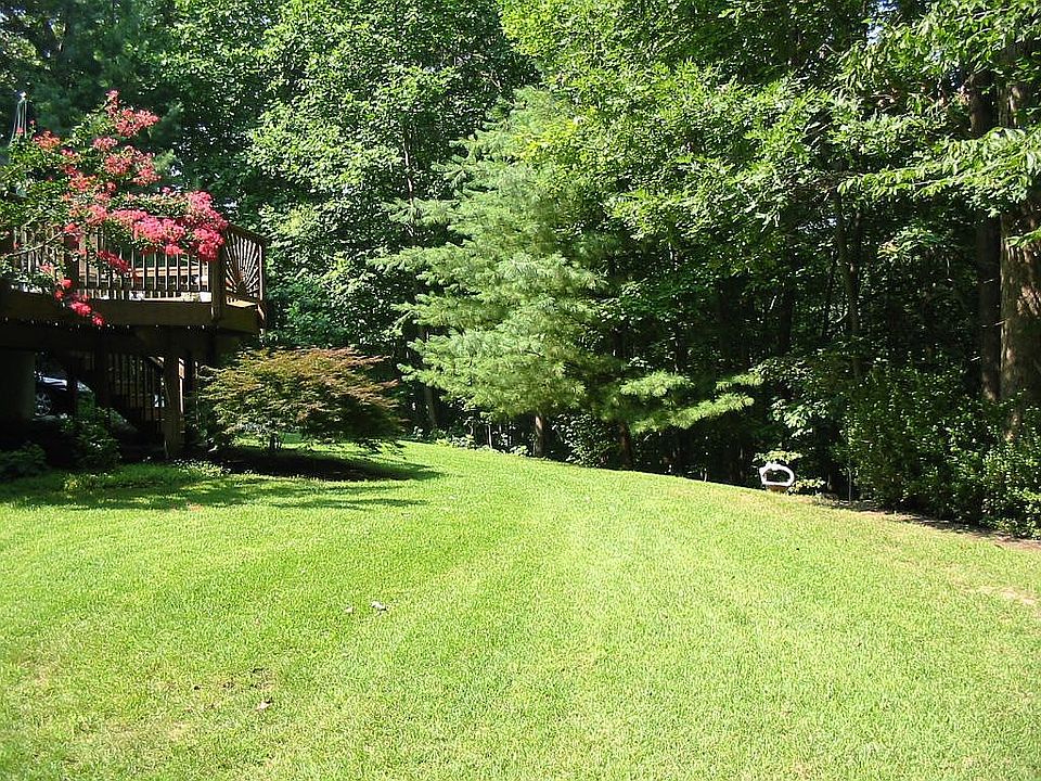 back yard