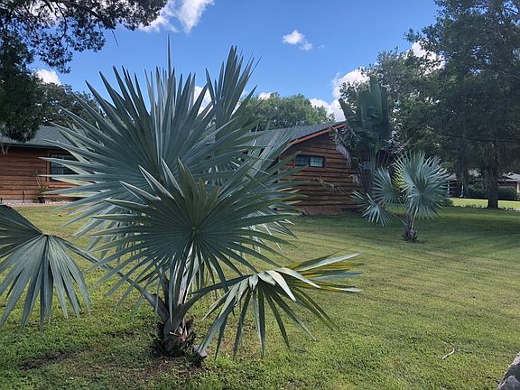 3rd image of 4445 Cactus Ave