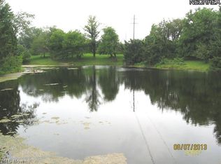 Wadsworth Rd, Medina, OH 44256