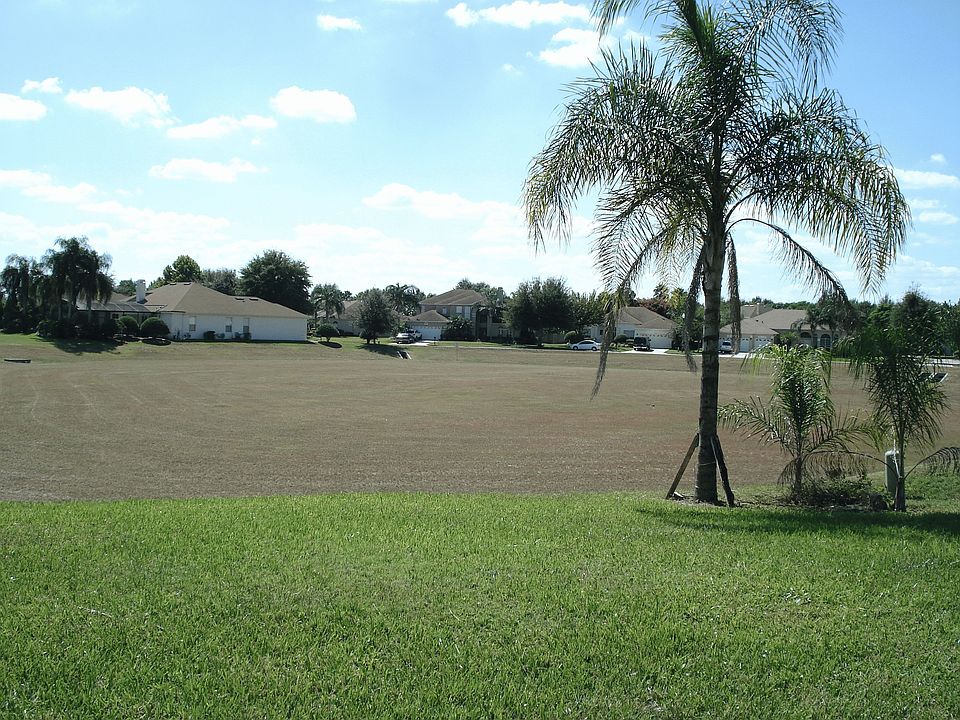 View from back porch