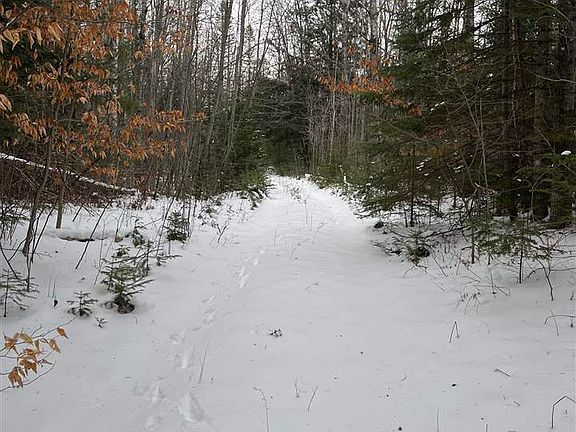 2nd image of 8586 N Us Highway 31