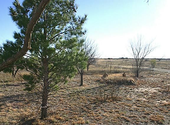 3rd image of 3350 County Road 531