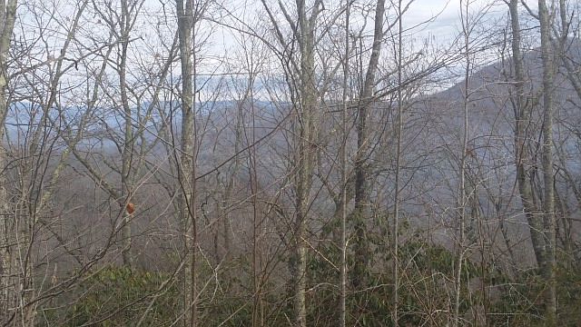 1st image of 293 White Falcon Dr