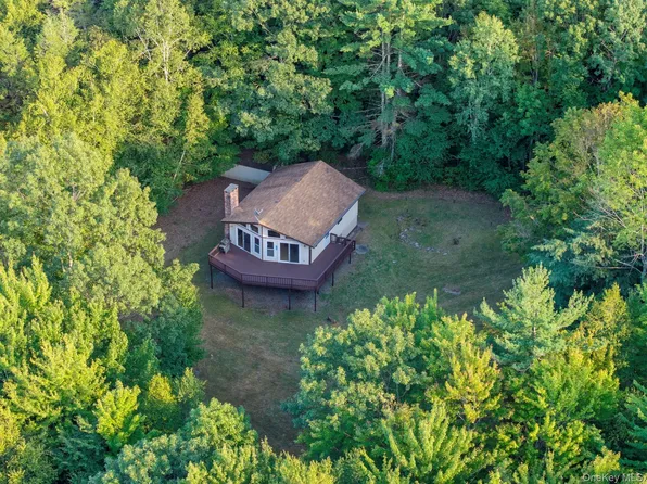 321 Terrace Drive, Prattsville, NY 12452